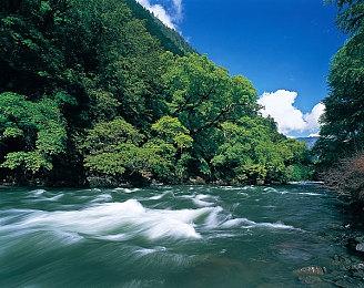 微缩世界手绘动画风格游戏《Vivarium》公开